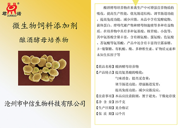 酿酒酵母培养物